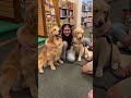 A therapy dog visit we’ll never forget!