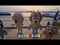 Bluey- SURPRISE! Wedding at Sunset❤️ Bluey Pretend Play