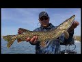 Pike Fishing in Toronto, Ontario, Canada | Swim Baits & Jerk Baits