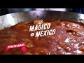 Lo Magíco de México 