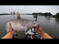 4 Hours of RAW and UNCUT Kayak Catfishing with BIG Live Baits