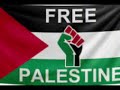 Free Palestine …