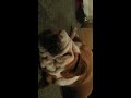 English bulldog sleeping