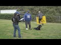 #1349 Rottweiler DVG America IGP CH qualifying trial - protection IGP3 - Jefe v Tonatiuh, IGP3, BH