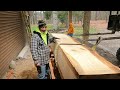 Massive White Oak on the Sawmill