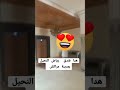 صباحي اليوم لكم  من فندق رياض النخيل بمراكش الحمراء 😍 جمعة مباركة للجميع 🥰❤️👍🇲🇦❤️