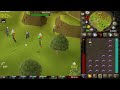 Rune Warhammer Pking OSRS F2P Pking #osrs