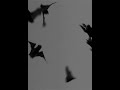 Playboi Carti - Bat Gang [ACCURATE INSTRUMENTAL)