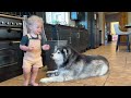 Adorable Baby Boy Eats Dog Food Reaction! (So Funny!!)