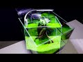 How To Plant Green Carpet In Aquarium For Beginners Amazing Diy Nano Aquascape Cube 30cm No Co2 #122