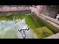 UPDATE on the Abandoned Koi Pond