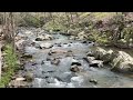 Calming Creek water fall