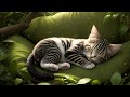 💤Music for Sleeping😪 and Deep Relaxation(by relaxing music)