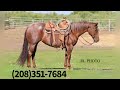 Reinin One Time 2017 Red Roan Mare