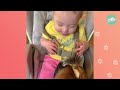 Gentle Boxer Dog Puts Jealousy Aside and Babysits His Little Sis | Cuddle Buddies