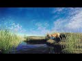 Wolf drinking water animation created using UE4 & Blender