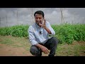 टमाटर खेती एक तरफ बाकि खेती एक तरफ 🍅😱🤯 King of All Vegetable, Tomato Farming A to Z || Indian Farmer