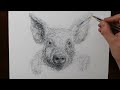 How to Draw a Piglett | Amazing Scribble Art Drawing