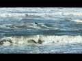 Pacific Ocean Swimming