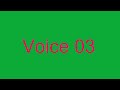 VOICE 3
