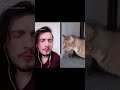 Sneezy Cat | TikTok Duets | Best Version