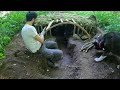 14 Days SOLO SURVIVAL CAMPING - Building BUSHCRAFT Underground SHELTER with FIREPLACE. Full Video
