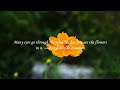 Quotes With Beauty of Nature - Beautiful Nature Quotes | The Balance of Nature with Relaxing Music