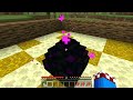 Minecraft a Ender dragon (New World:The Reborn Of Her)