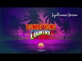 Donkey Kong✨ | Synthwave - Chillwave 80's Mix✨❤