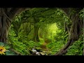 3 Hours Of Soothing and Relaxing Jungle and Environment Sounds