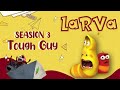 Eat A Big Feast - LARVA Season 3 - New Larva - Funny Cartoon - Special Video by LARVA.