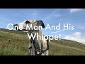 Living with a Whippet: Part 3 Recall Training
