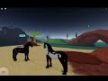Types of Players on Wild Horse Islands *WILD RP EDITION* II Roblox