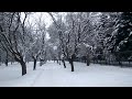 Narnia - Experience Ukrainian Winter