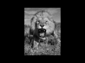 The Lions Roar (RAW DUBSTEP)