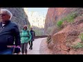 🎋Zion National Park, UTAH🍂