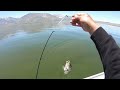 Lake Crowley June 23rd Fishing Sacramento Perch
