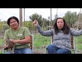 Farm to Table Regenerative Farm - Run by Two Vegan Chefs