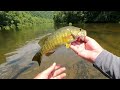 Smallmouth Bass $100 Walmart Budget Challenge