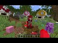 Dagar Consigue Corazones Personalizados en Minecraft