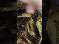 pisang raja yang kelewatan masak