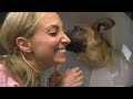 Terrified Puppy With Mystery Illness Refuses To Eat 💔 Bondi Vet Clips | Bondi Vet