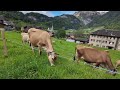 4K Lungern, Switzerland  🇨🇭 Walking Tour