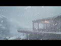 Loud Howling Wind & Fierce Blowing Snow at a Lonely Wooden House┇Frosty Blizzard Sounds for Sleeping