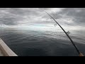 #1 ROD AND REEL COMBO FOR SALTWATER!!! (Penn Battle 3 combo)