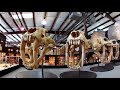 Mind Blowing Fossils at Tucson's Gem, Mineral & Fossil Show 2018 (Part 4)