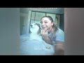 You Laugh You Lose🤣Funniest Dogs and Cats 2024😻🐶