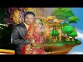 part-8 Gagan Meena marriage video