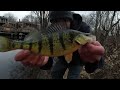 Shore Fishing Spring Jumbo Perch