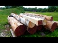 Sawmilling Spruce - Band Sawmill Build #22